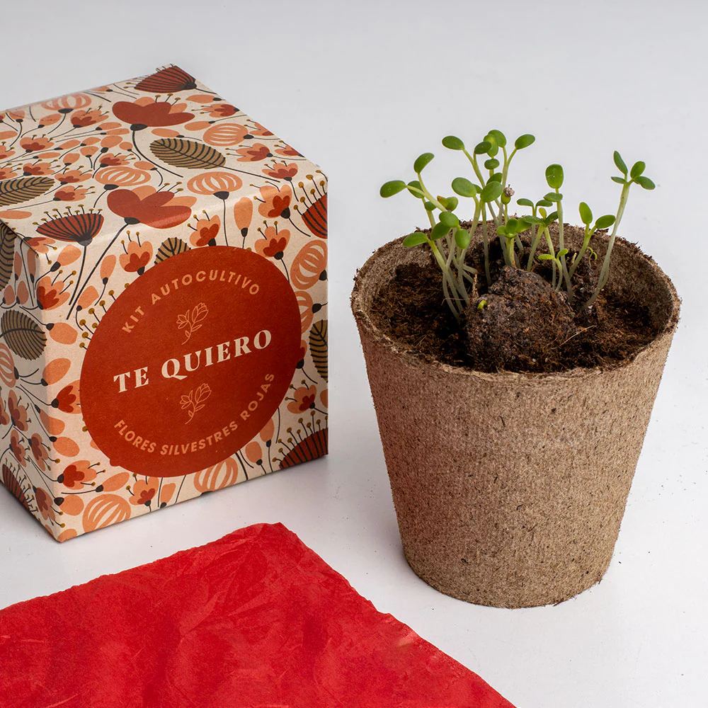Imagen del producto 4