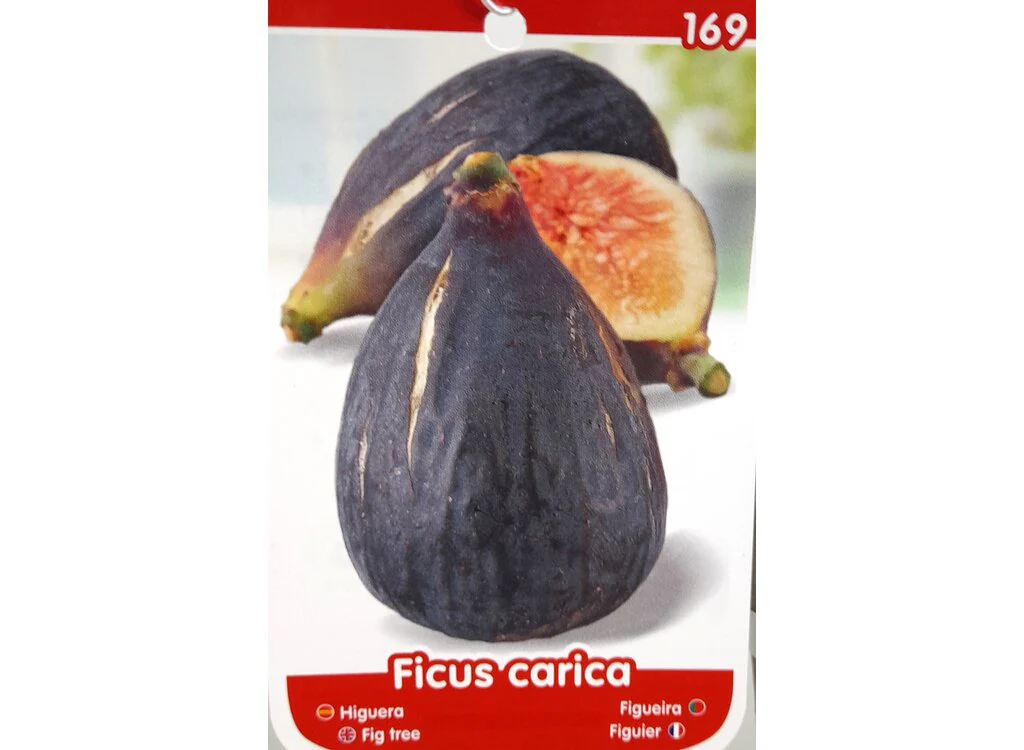 Imagen del producto 3