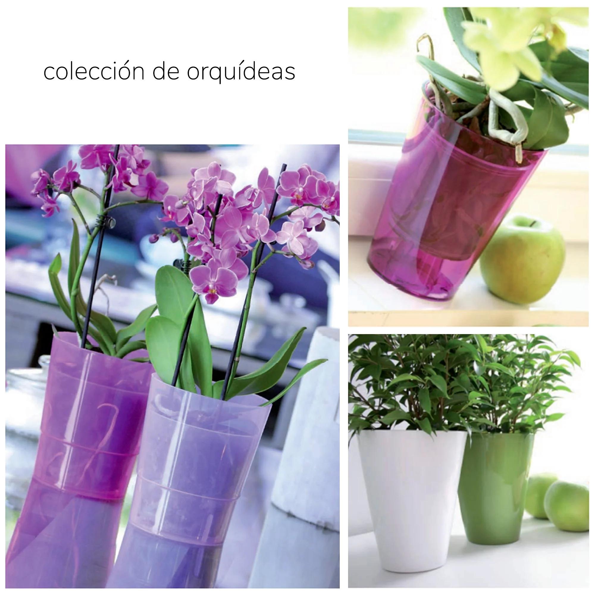 Imagen del producto 2