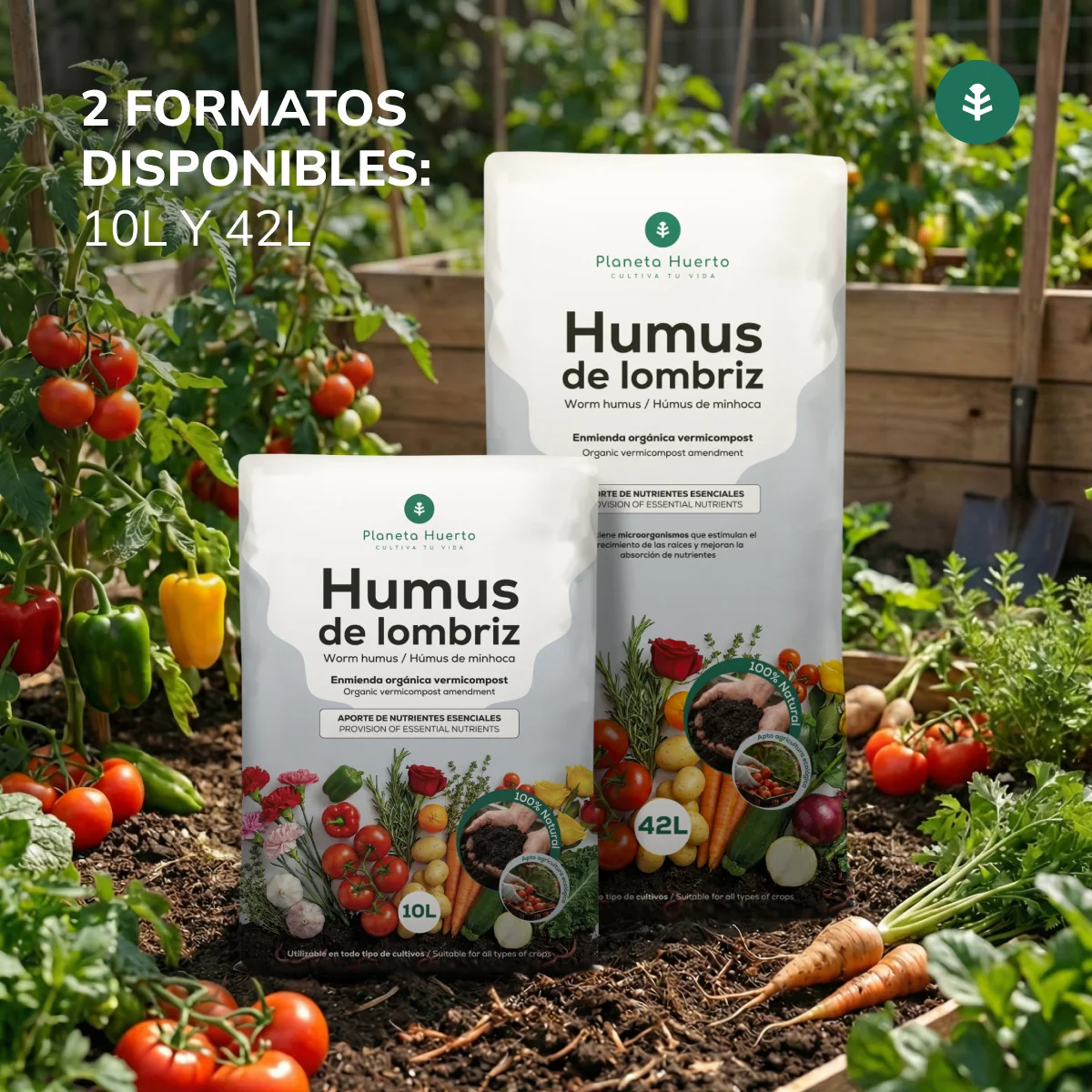 Imagen del producto 4