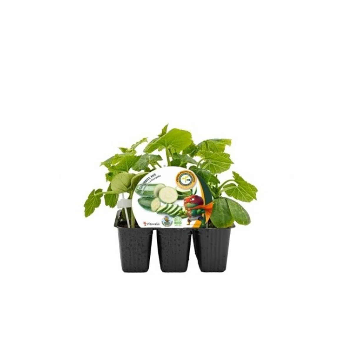 Imagen del producto 1