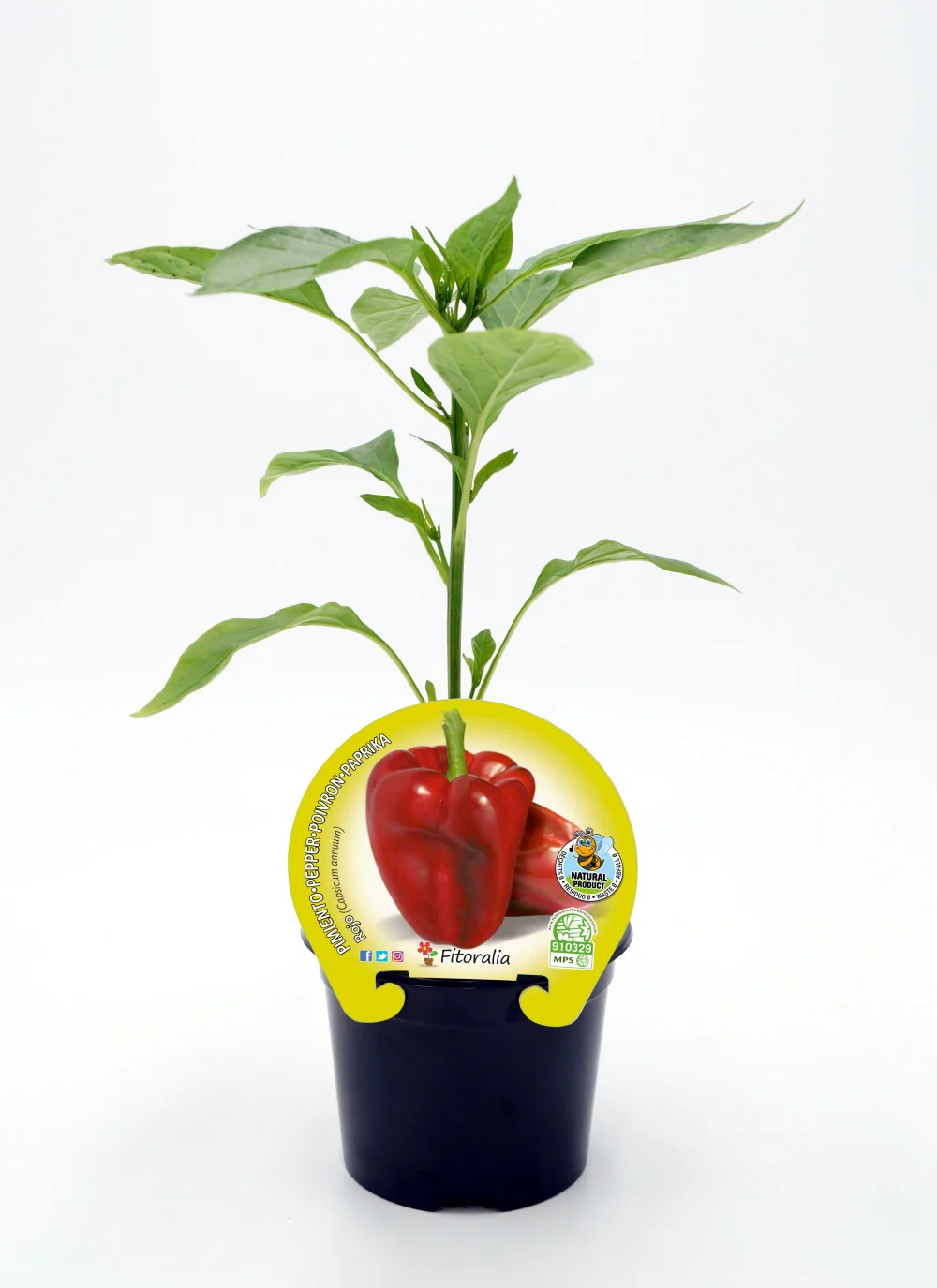 Imagen del producto 1