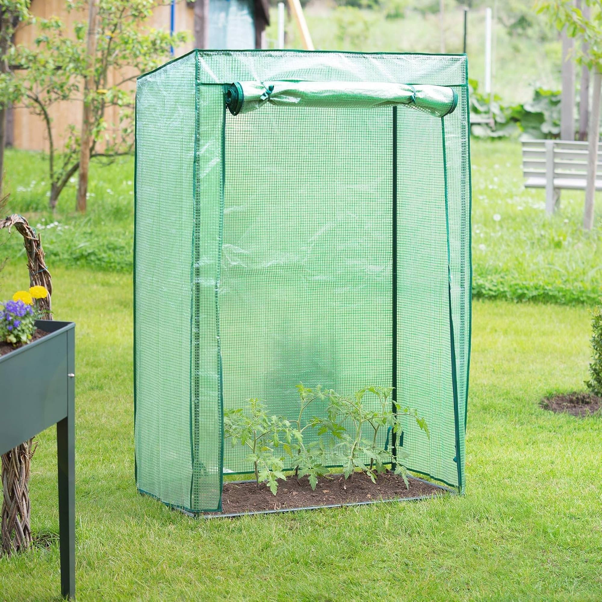 Imagen del producto 4